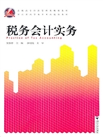 税务会计实务