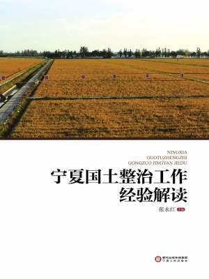 宁夏国土整治工作经验
