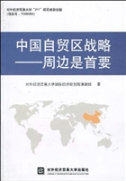 中国自贸区战略——周