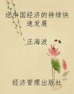 论中国经济的持续快速