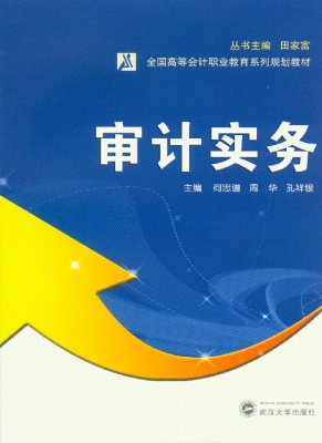 审计实务