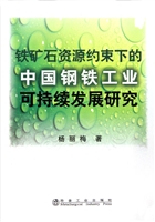 铁矿石资源约束下的中