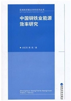 中国钢铁业能源效率研