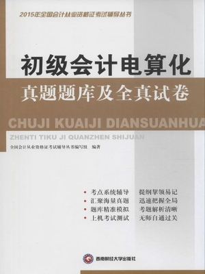 初级会计电算化真题题