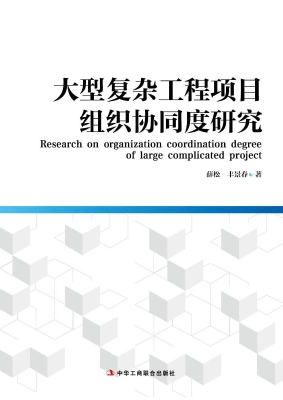 大型复杂工程项目组织
