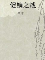 促销之战