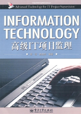 高级IT项目监理
