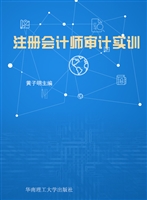 注册会计师审计实训