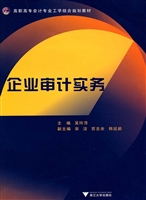 企业审计实务