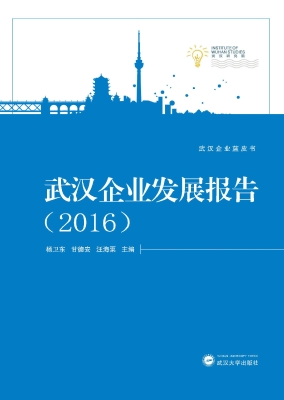 武汉企业发展报告（2016