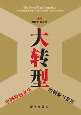 大转型——中国特色农