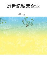 21世纪私营企业