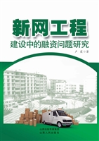 新网工程建设中的融资
