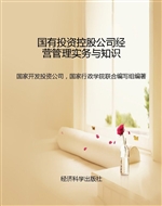 国有投资控股公司经营