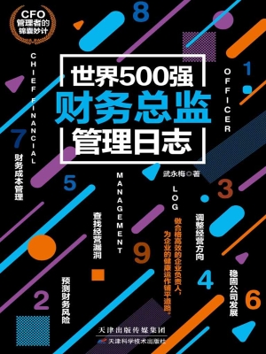 世界500强财务总监管