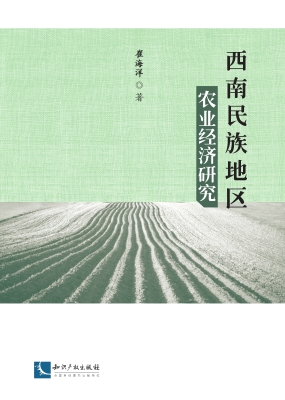西南民族地区农业经济
