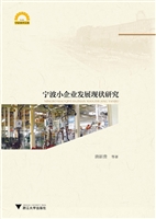 宁波小企业发展现状研