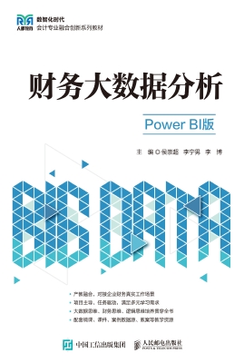 财务大数据分析（Power 