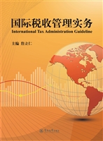国际税收管理实务