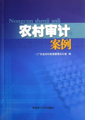 农村审计案例