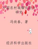 中国农村城镇化动力研