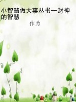 小智慧做大事丛书--财