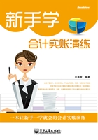 新手学会计实账演练