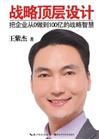 战略顶层设计