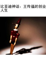 比亚迪神话：王传福的创