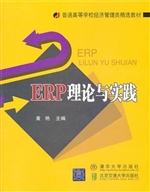 ERP理论与实践