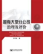 国有大型分公司治理及