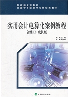 实用会计电算化案例教