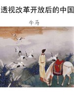 透视改革开放后的中国