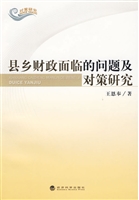 县乡财政面临的问题及