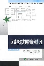 区域经济发展的微观机