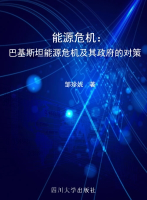 能源安全——巴基斯坦
