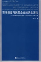 市场制度与民营企业的