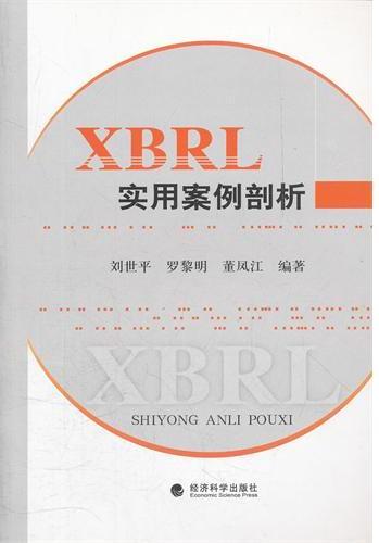 XBRL实用案例剖析