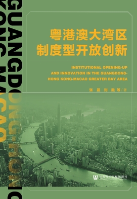 粤港澳大湾区制度型开