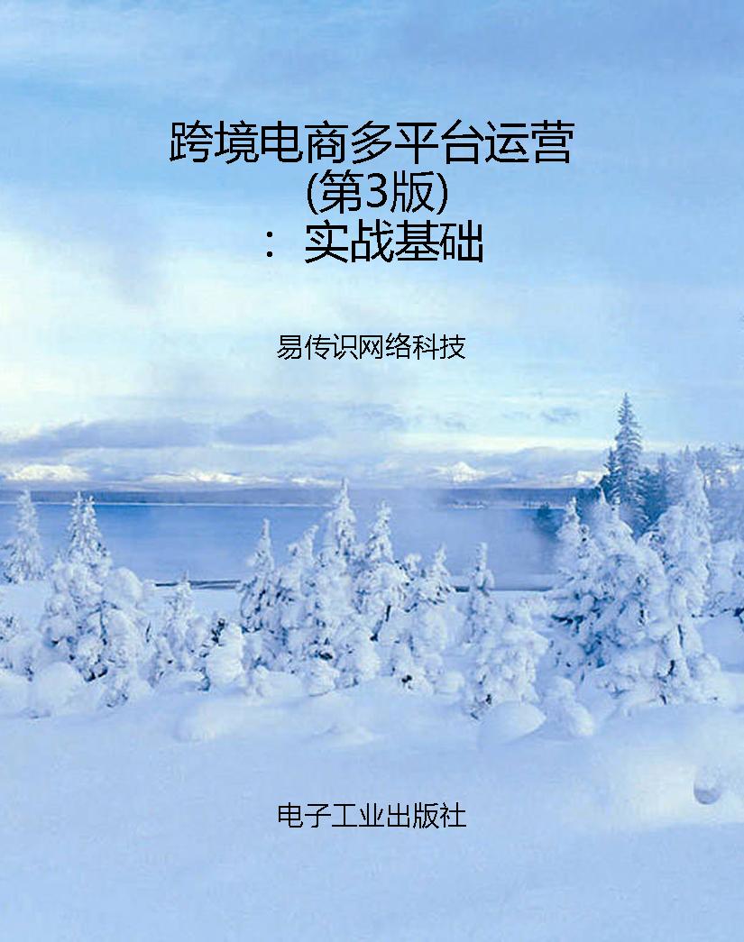 跨境电商多平台运营（第