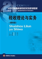税收理论与实务