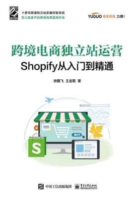 跨境电商独立站运营—