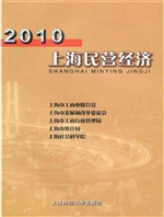 2010上海民营经济
