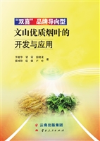 “双喜”品牌导向型文