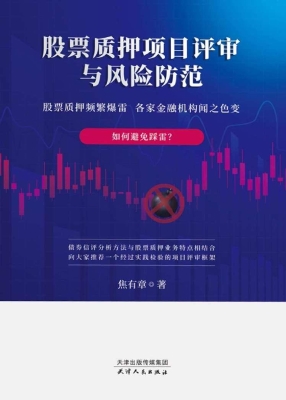 股票质押项目评审与风
