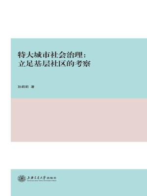 特大城市社会治理——