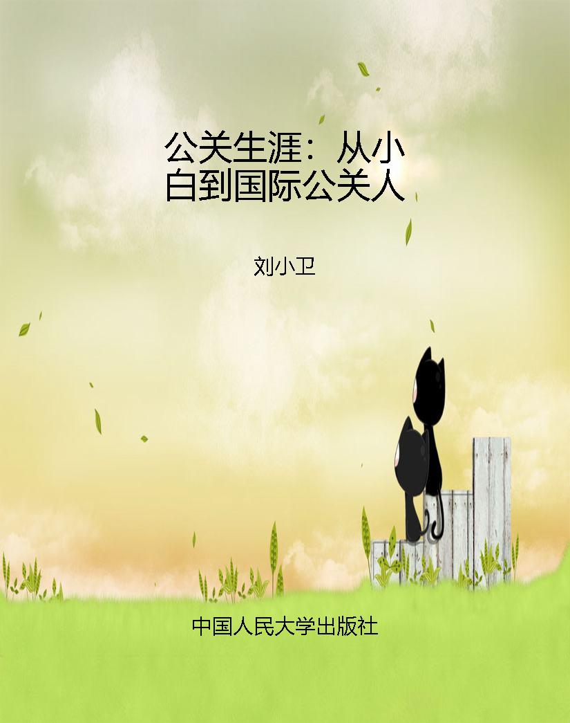 公关生涯：从小白到国际