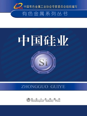 中国硅业