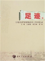 足迹：宁夏经济发展和改