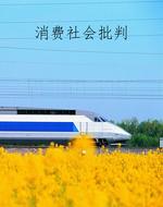 消费社会批判